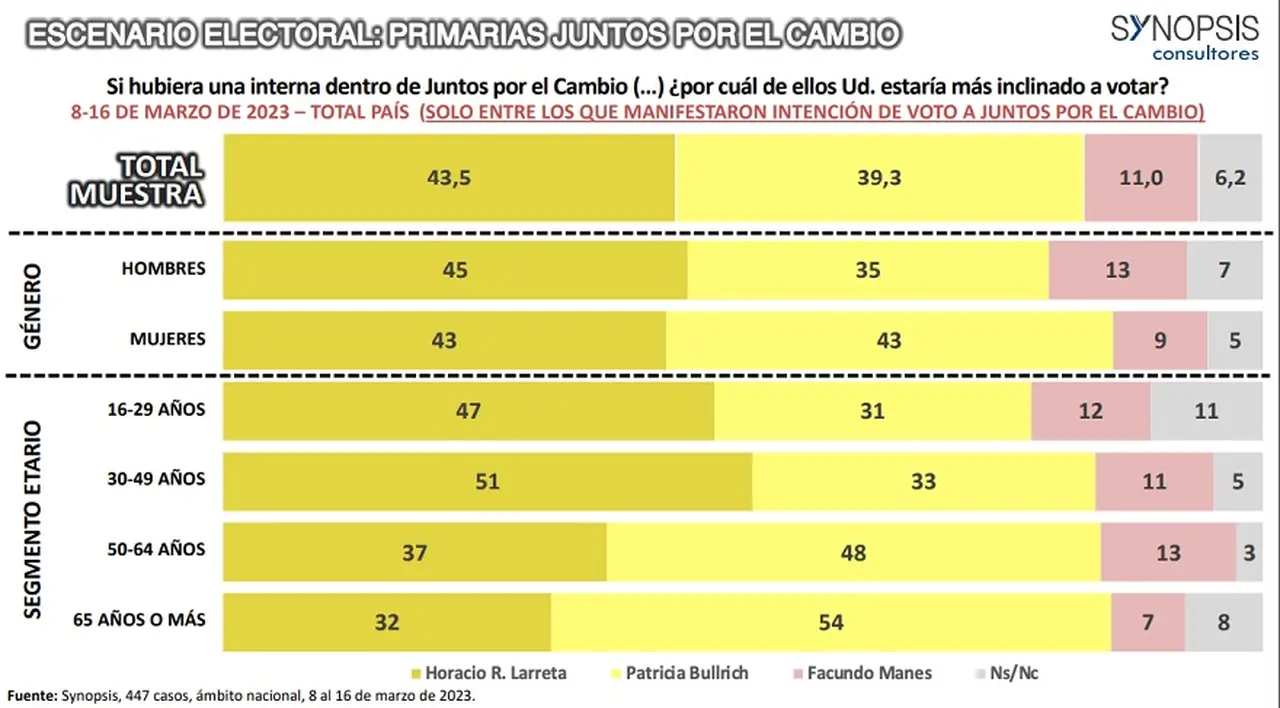 Así se repartirían los votos por edad en una eventual interna de Juntos por el Cambio.