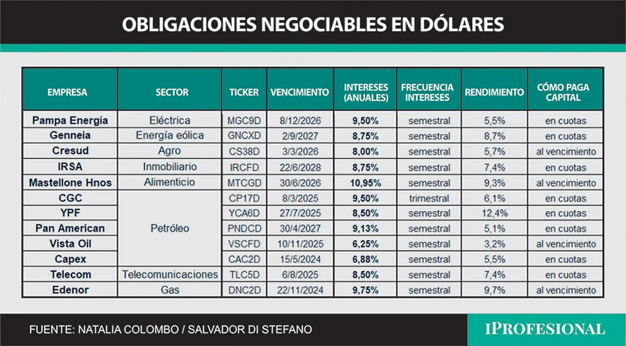 Existen distintos Obligaciones Negociables en dólares emitidas por distintas empresas.