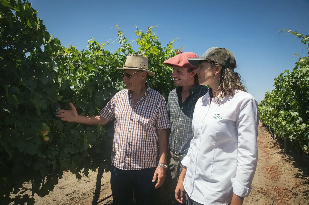 YPF Agro crece también en la nutrición para la vid