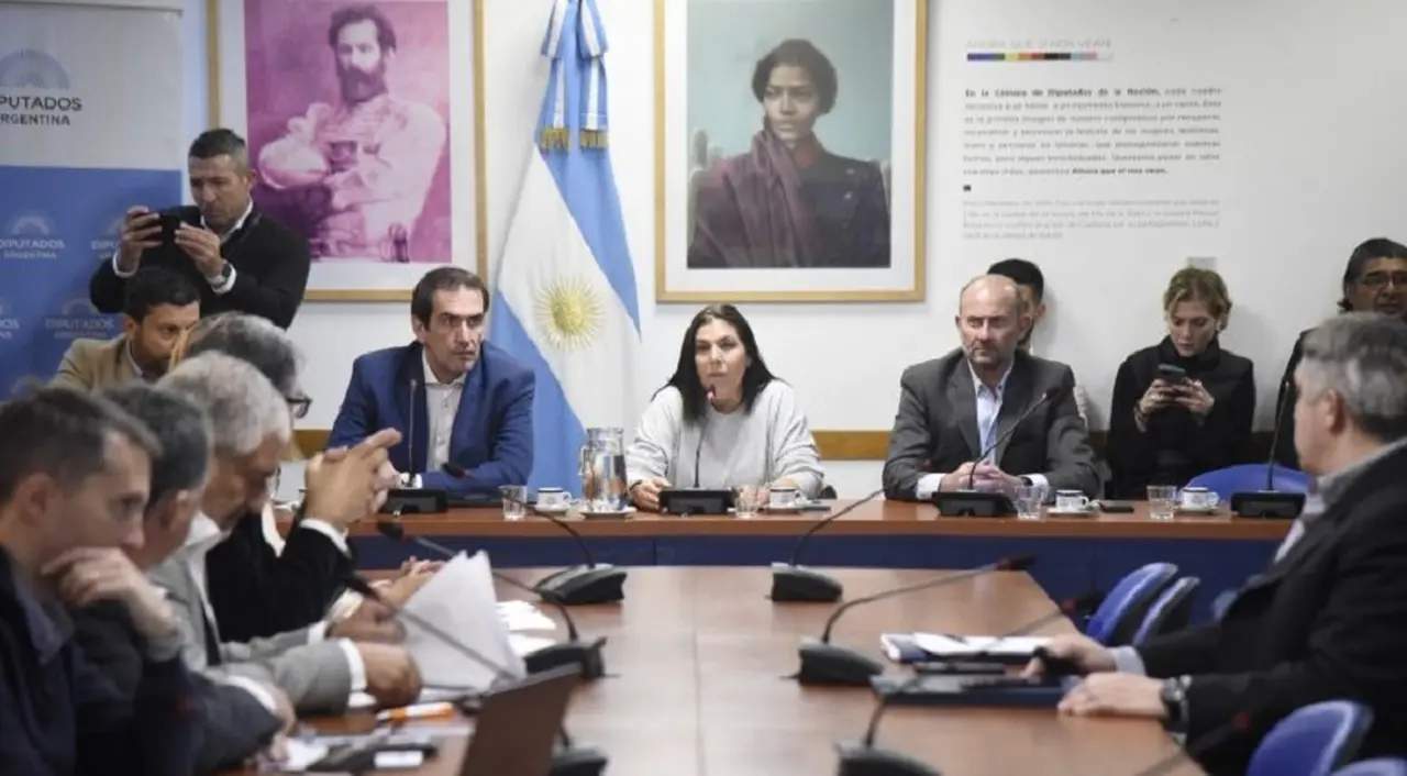 Diputados analizó la problemática en relación a la comercialización con tarjetas de crédito