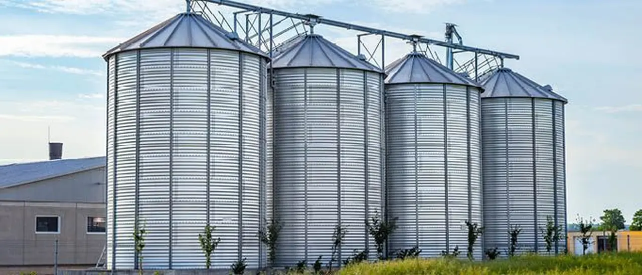 El proyecto del grupo asiático para importar soja desde la Argentina llega en un momento complejo para el agro local producto de la fuerte sequía