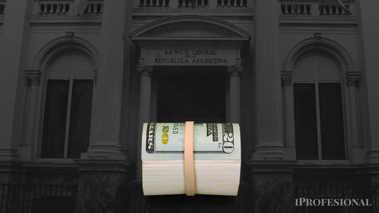 El BCRA extendió por séptima jornada seguida la racha compradora en el mercado cambiario