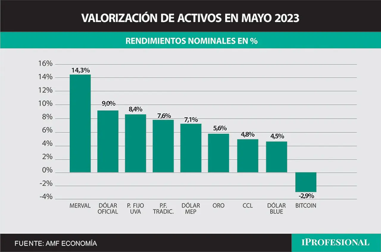 En mayo, la inversión más rendidora fue el índice de acciones líderes, que superó por lejos a las otras opciones.