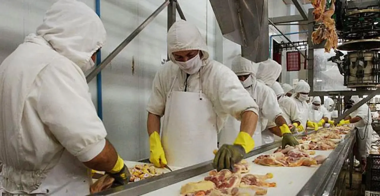 La industria avícola, en alerta por la caída de las exportaciones.