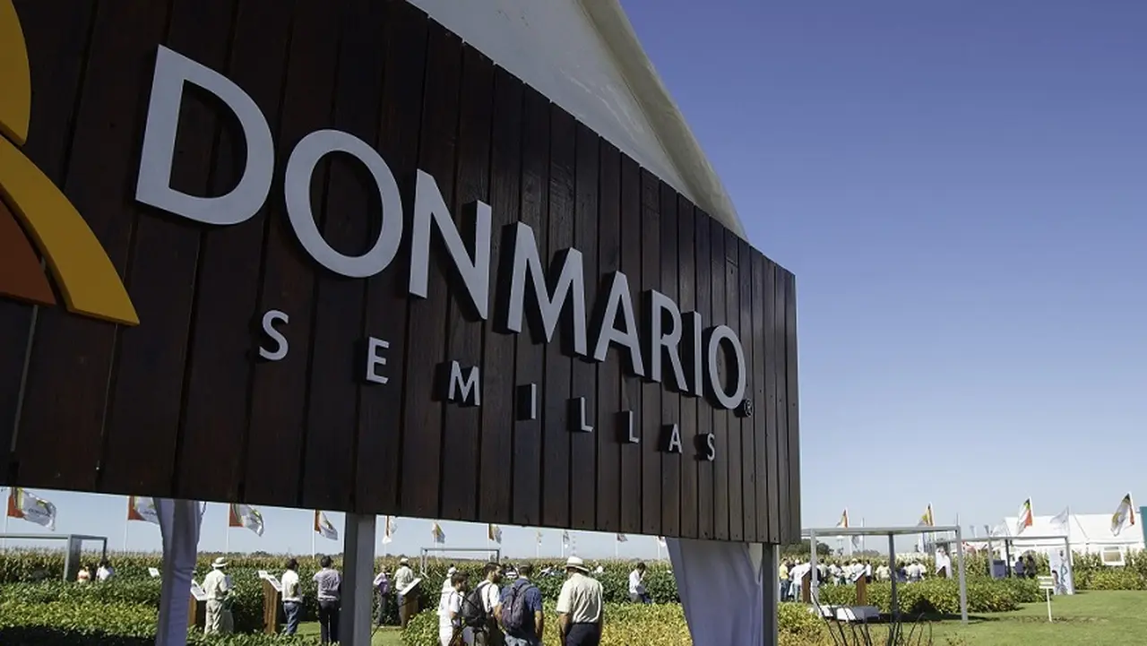 Grupo argentino anunció la compra de un gigante brasileño del trigo: los detalles del acuerdo