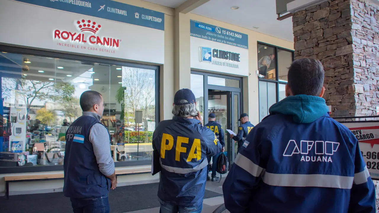 Contrabando de perros: Aduana denunció a organizaciones que exportaban animales domésticos