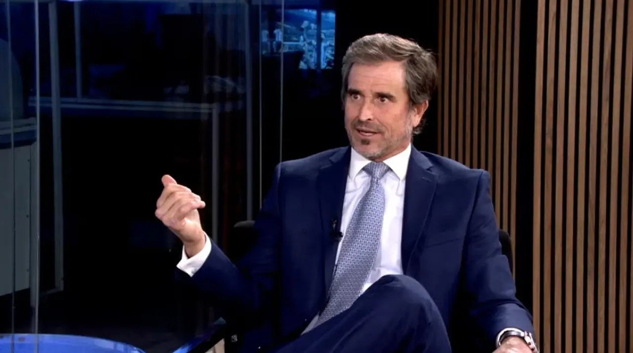 "Privatizar las ballenas y el mar": la propuesta de Benegas Lynch para salvar al medio ambiente