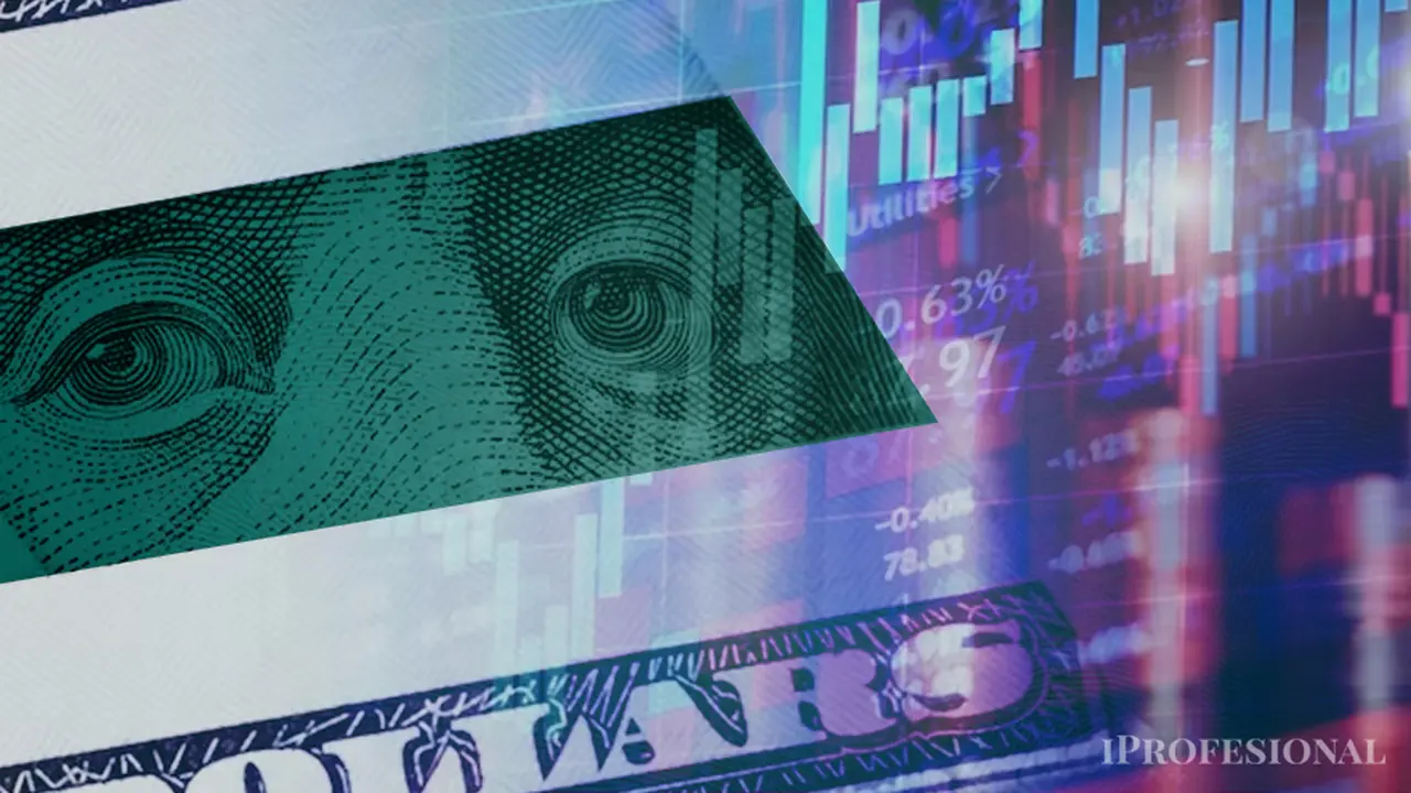 Dólar temporada verano 2024: qué pronostican desde la City para el arranque del año