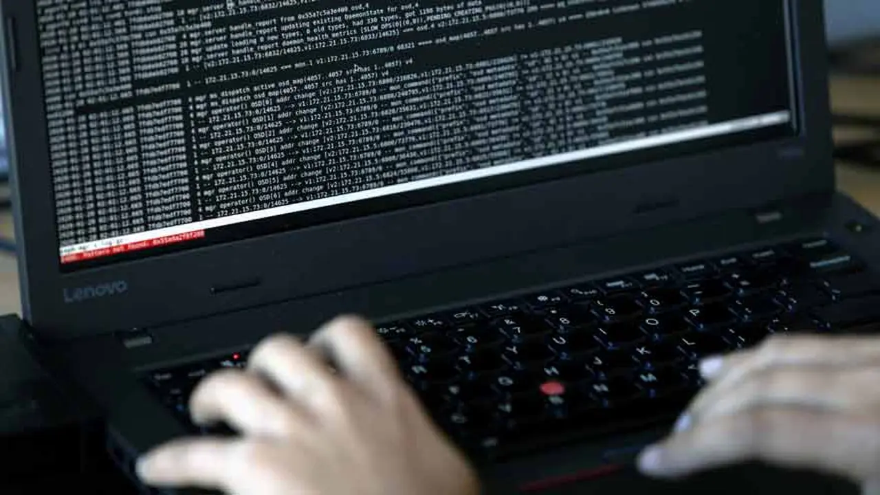 Programador de software