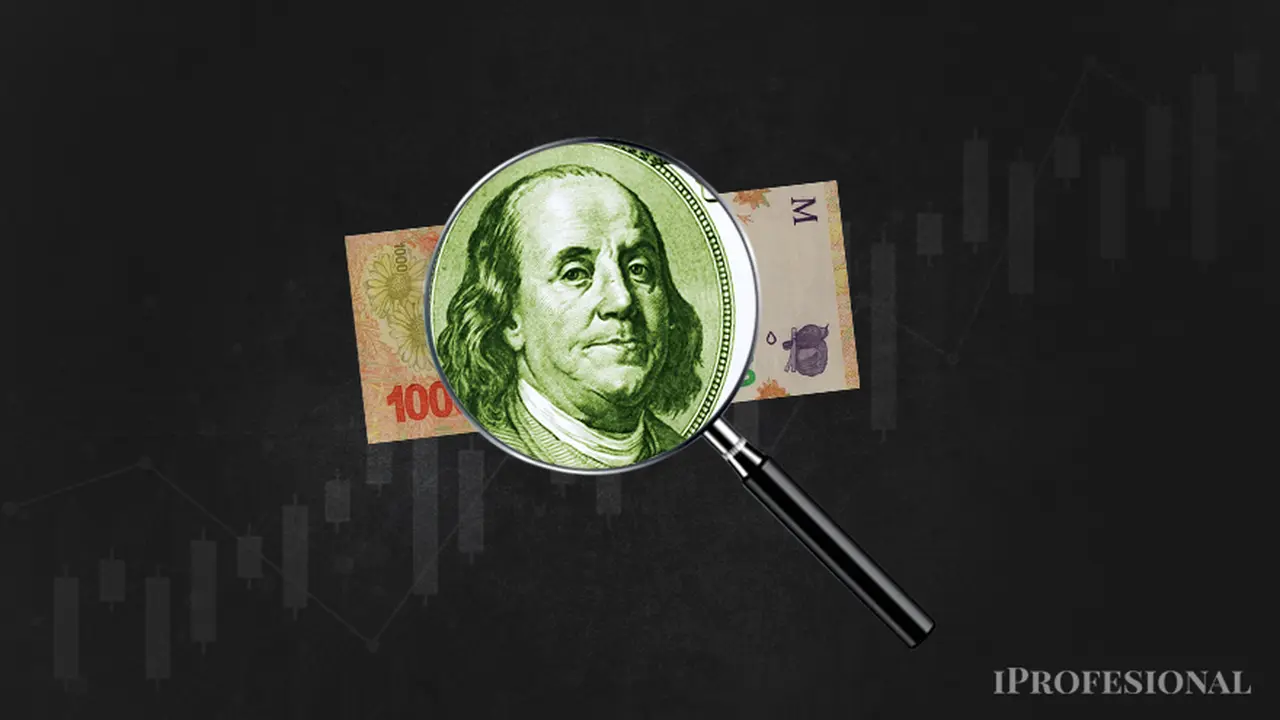 Los bonos que ajustaron tanto por devaluación de la moneda como por inflación tuvieron fuertes alzas en 2023.