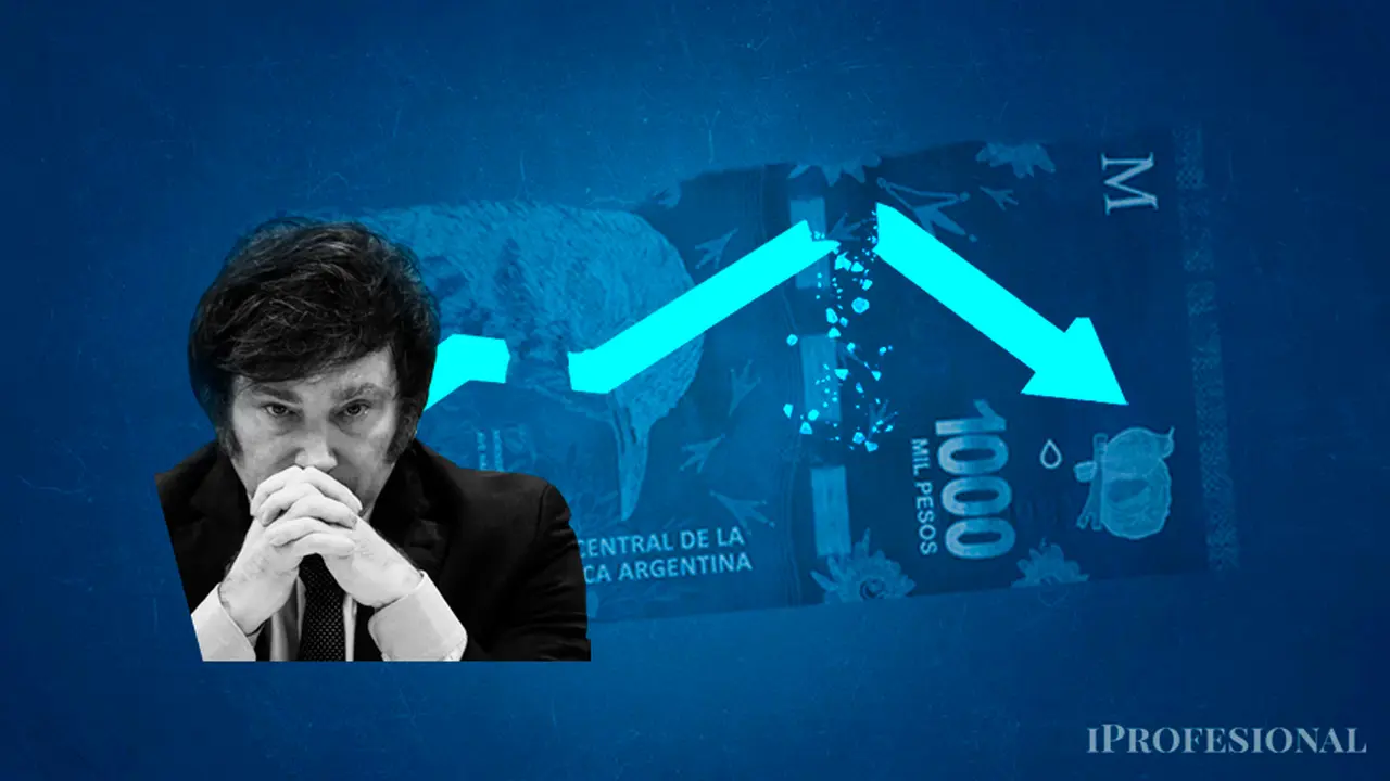 Milei prorrogó el Presupuesto para 2024: quiénes están autorizados a gastar por montos