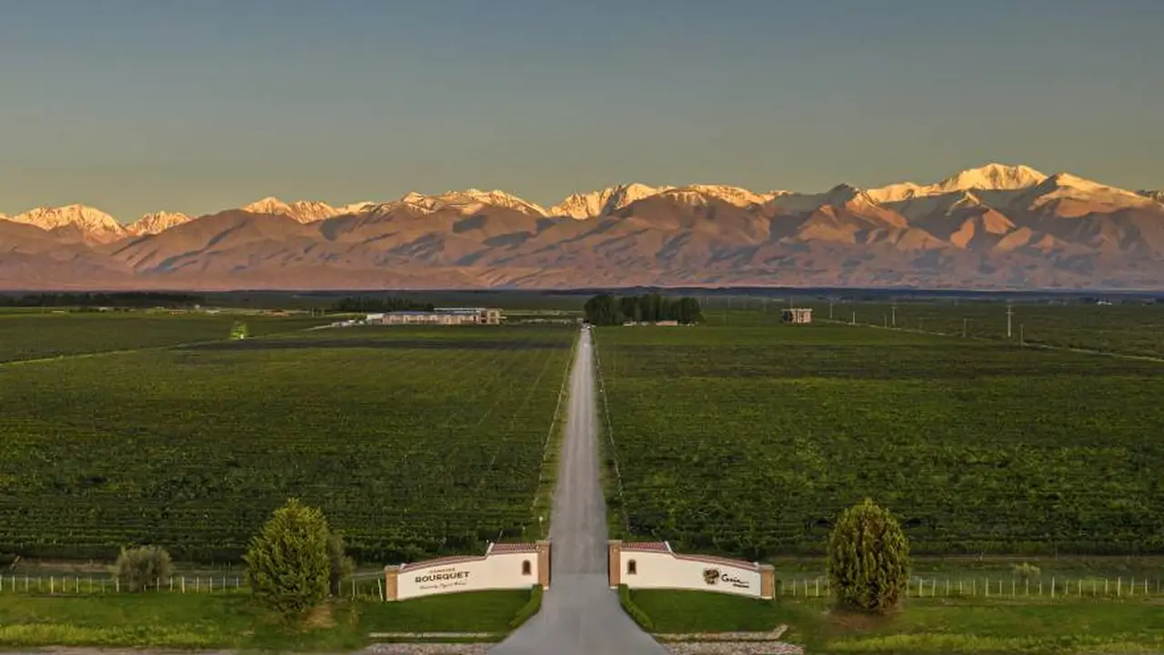 Vinos sustentables: así es la ambiciosa apuesta de Domaine Bousquet, que cumplió 25 años de agricultura orgánica