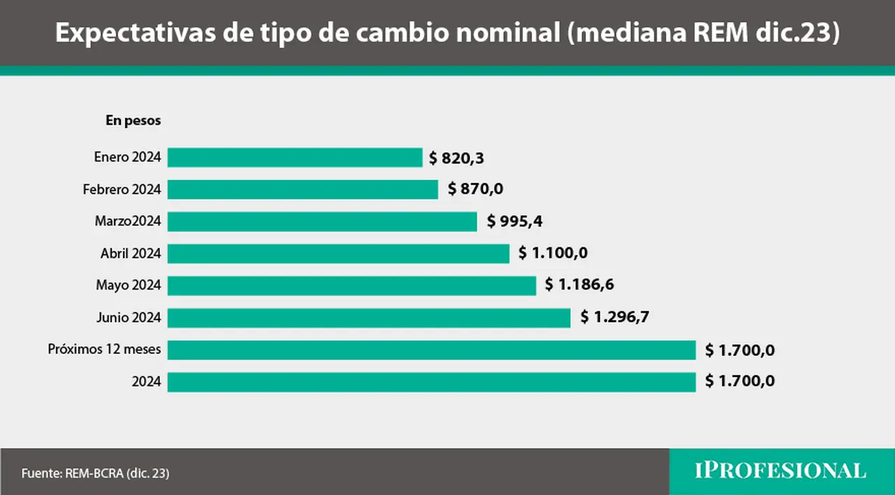 El precio esperado para el dólar oficial para fines del 2024 es de $1.700, según economistas relevados por el BCRA.
