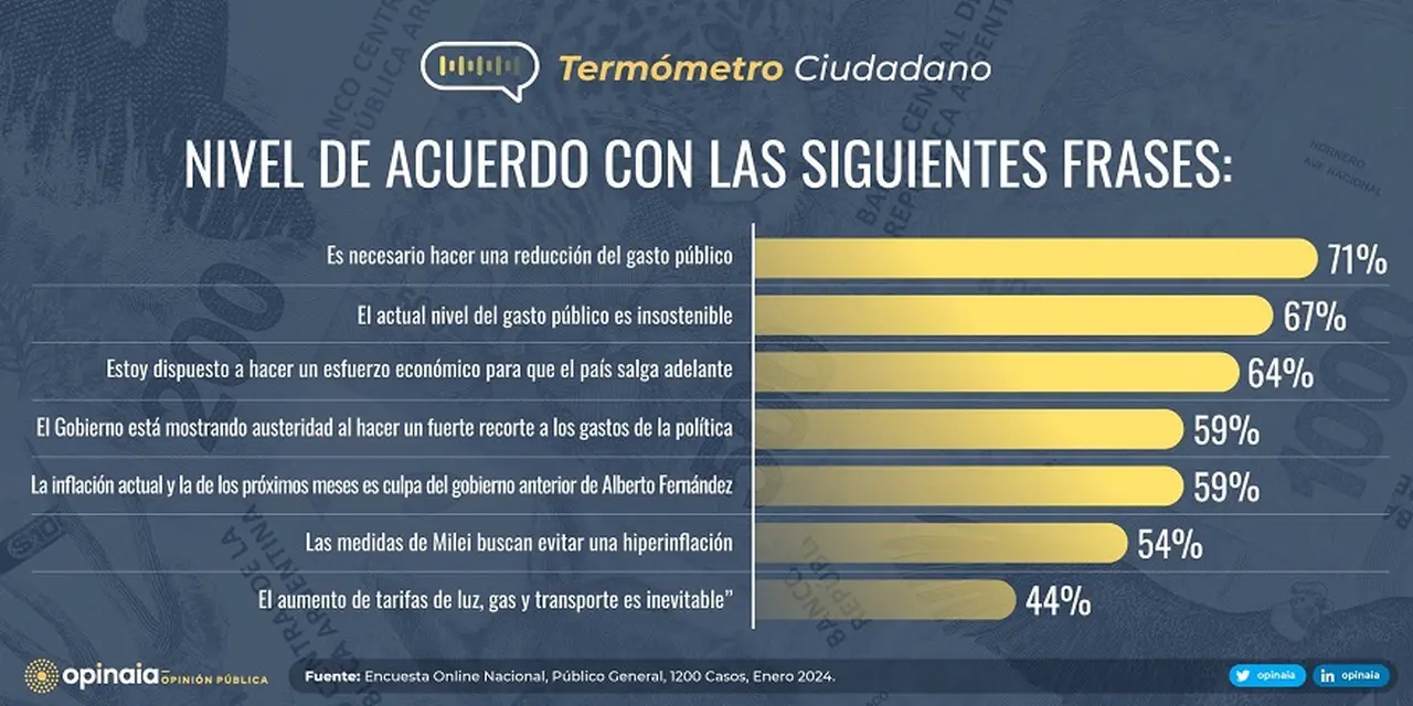 Qué piensa la gente de las ideas de Javier Milei
