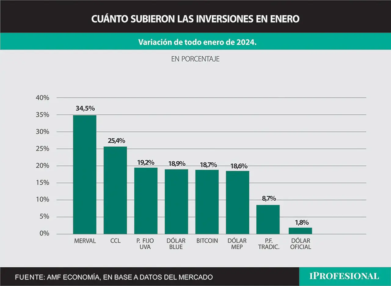 Las inversiones más ganadoras de enero fueron el índice de acciones líderes (Merval), seguido por el dólar contado con liquidación.