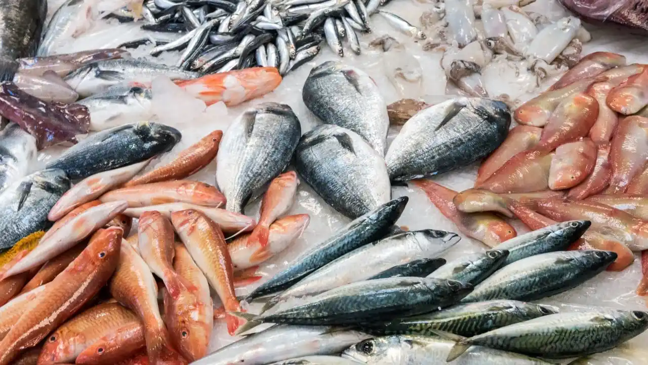 Por la suba del precio de la carne, crece el consumo de productos como el pescado