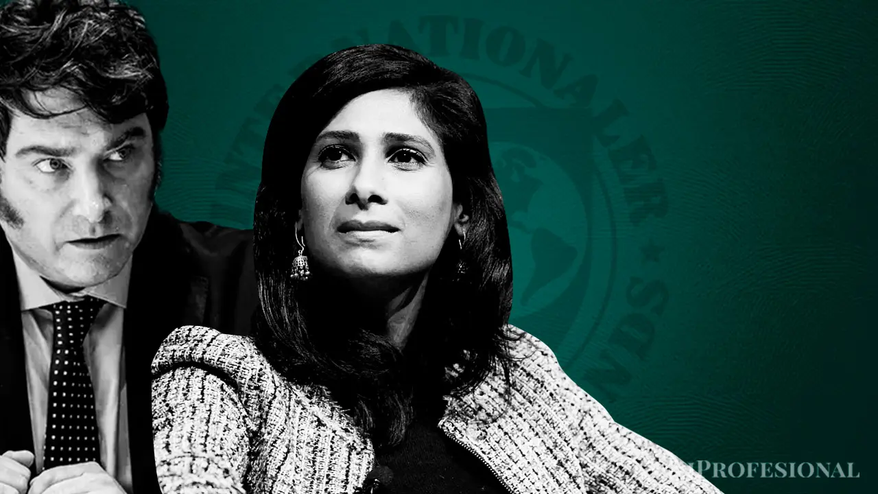 Luces amarillas para Milei: el FMI advierte por un descalabro social y no aprueba el plan de dolarización