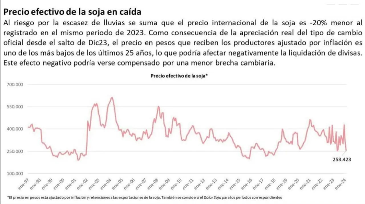 Se derrumba el precio de la soja y pone en riesgo la liquidación de dólares