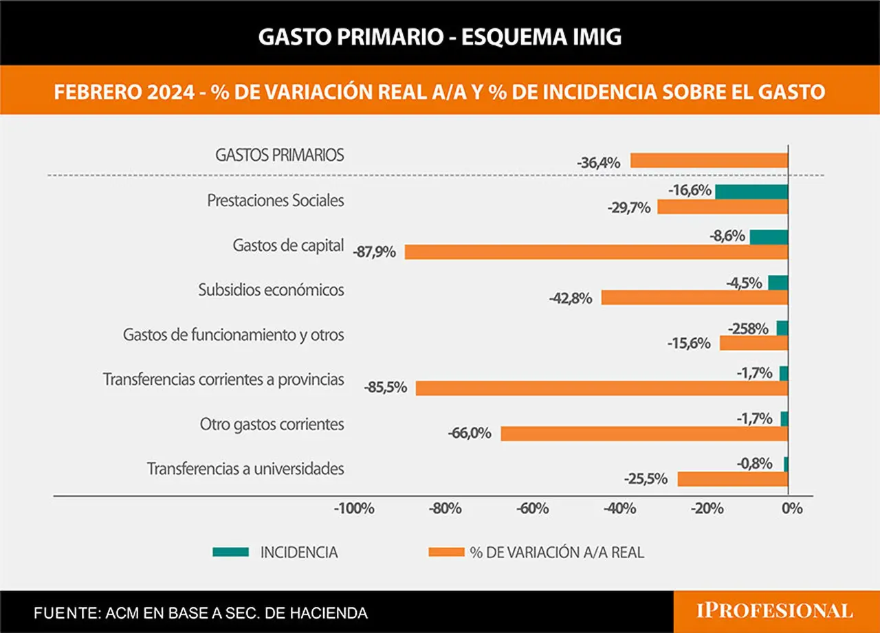 Los gastos primarios cayeron en febrero 36,4% interanual en términos reales