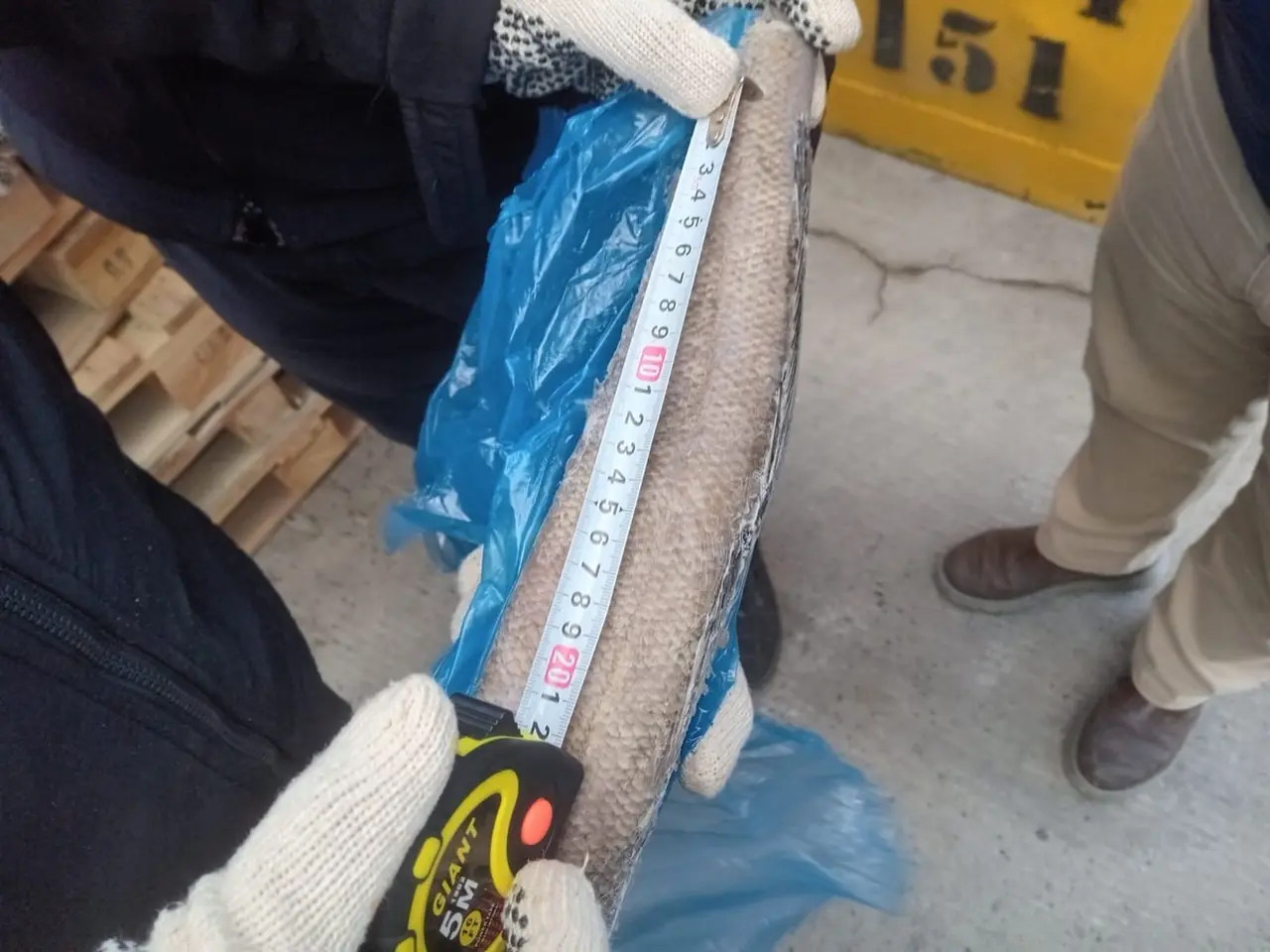 La pesca efectuada por el Tai An viola normativas globales.