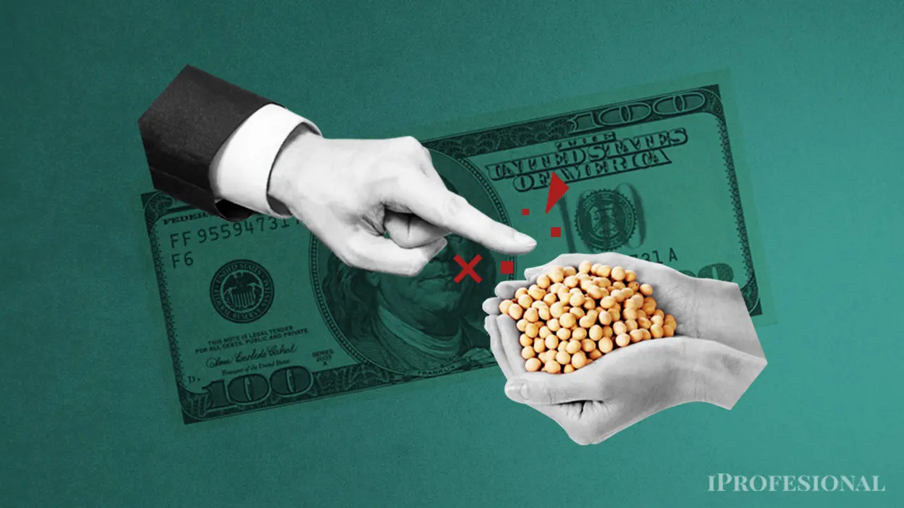 El fUn buen flujo de liquidación de cosecha es clave para el rumbo del dólar Contado con Liquidación por la oferta a través del dólar blendos es que haya buena liquidación de la cosecha gruesa