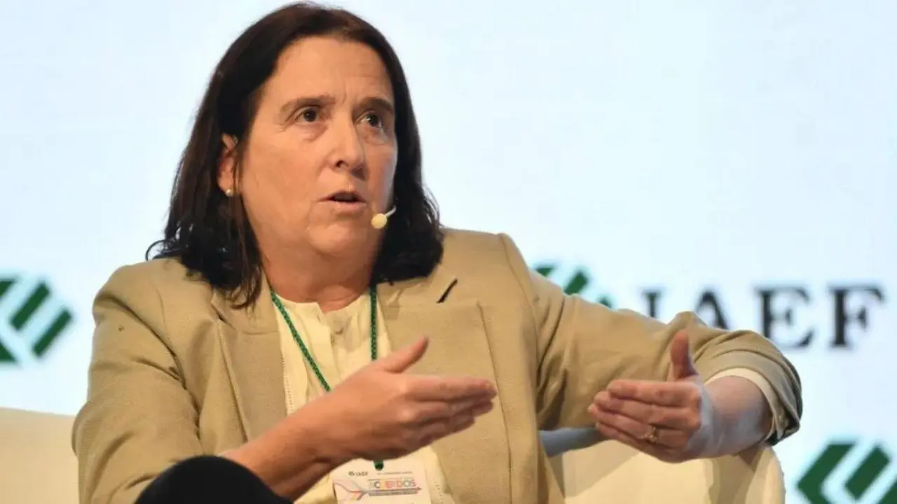 Por el RIGI, Dal Poggetto estimó un gasto tributario de u$s8.500 millones