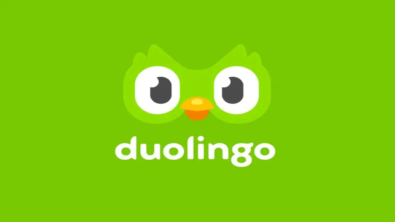 Aprender francés con duolingo es fácil y dinámico.