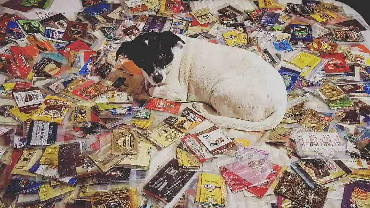 Hasta donde Lucas llegó a contar, tiene 4.400 envoltorios de alfajores tanto de argentina como del exterior
