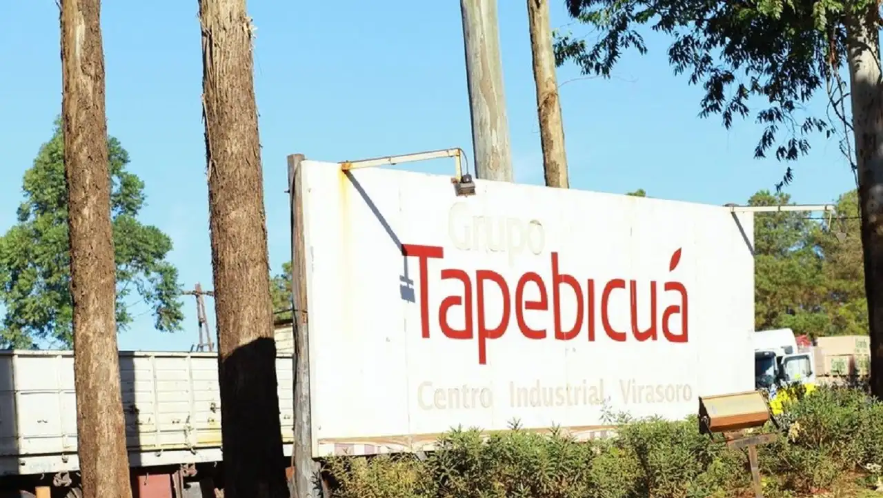 Forestadora Tapebicuá registró una facturación un 23% inferior a la del mismo período del ejercicio anterior.