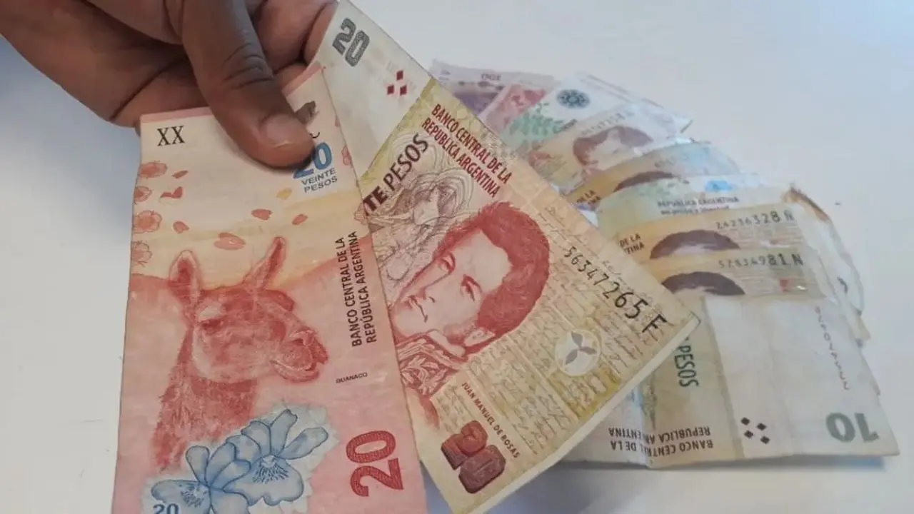 Dejar de emitir, el gran desafío del Gobierno.
