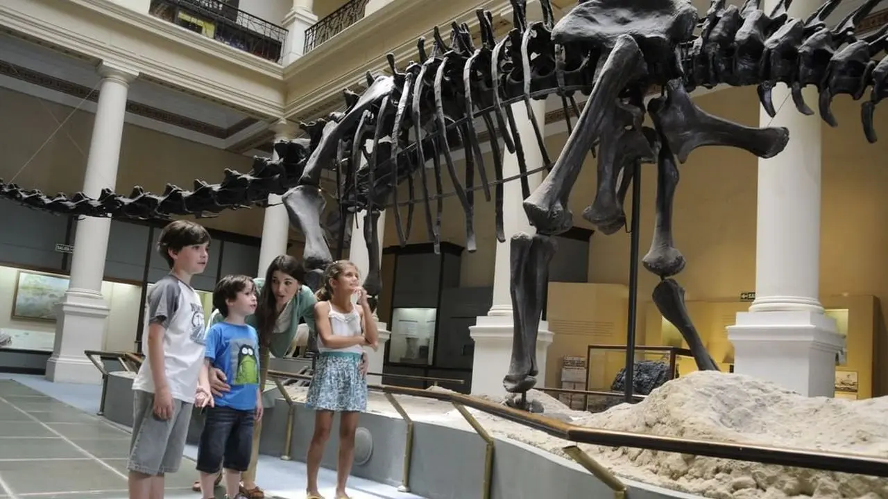  El museo ofrece una variedad de actividades para todas las edades, como talleres, visitas guiadas, conferencias y eventos especiales