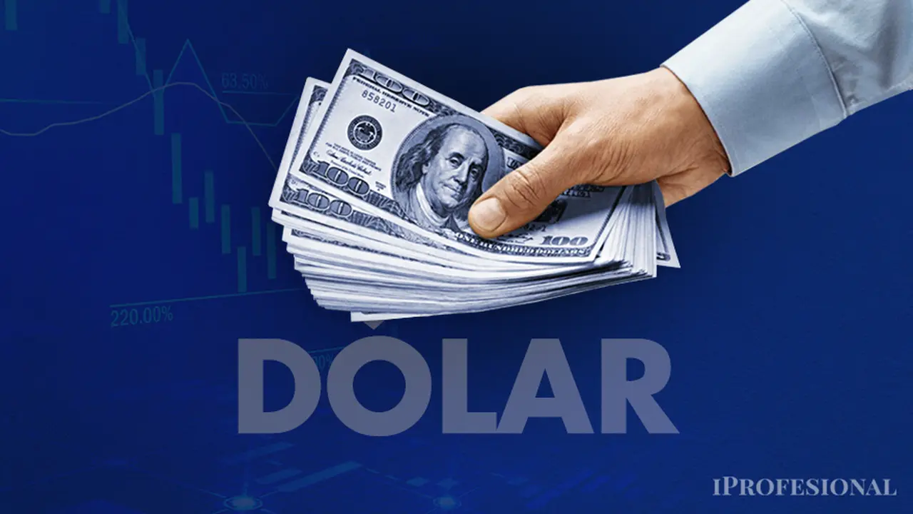La licitación se desarrolló en un escenario donde el dólar blue en el inicio de la semana registró un récord de $1.440