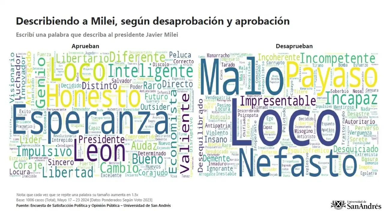 Los votantes de Milei lo asocian con la 