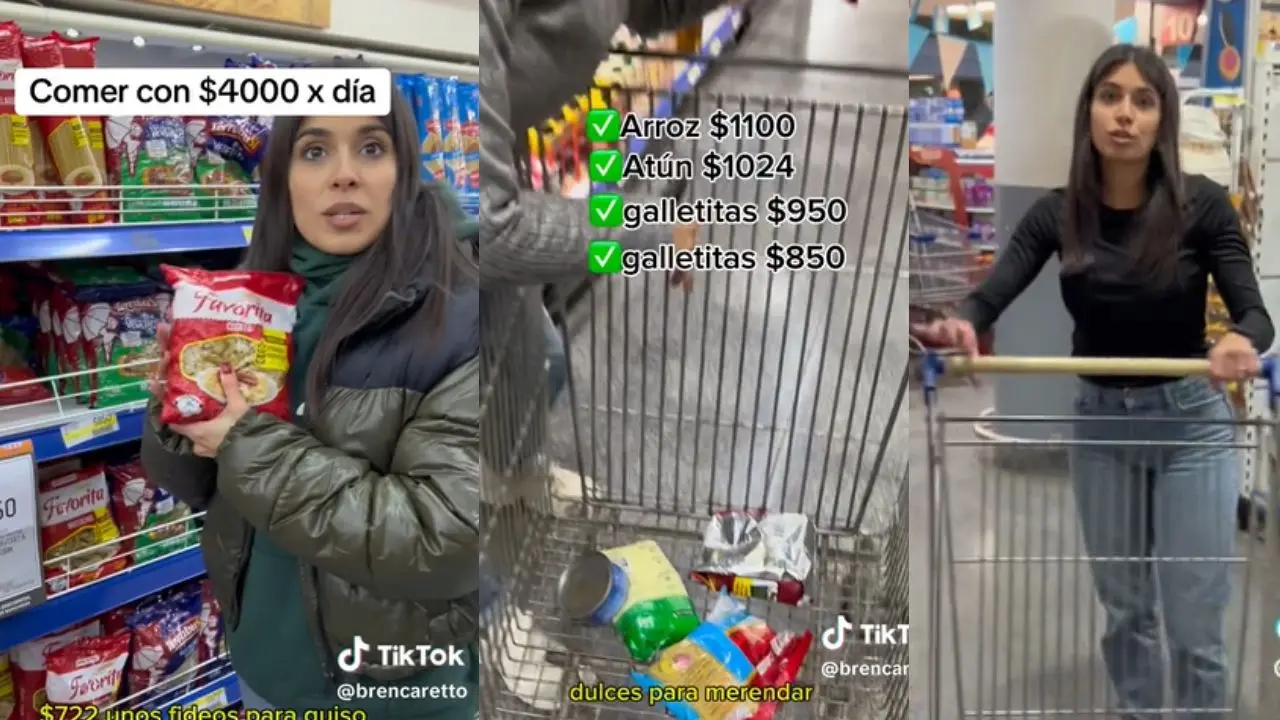 Video: fue al súper y te cuenta si es posible comer con $4.000 diarios, como dice el INDEC