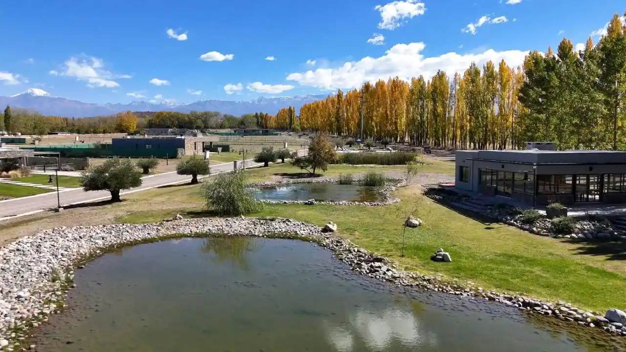 Vivir entre viñedos: cuánto sale comprar un lote en Mendoza, al pie de la Cordillera