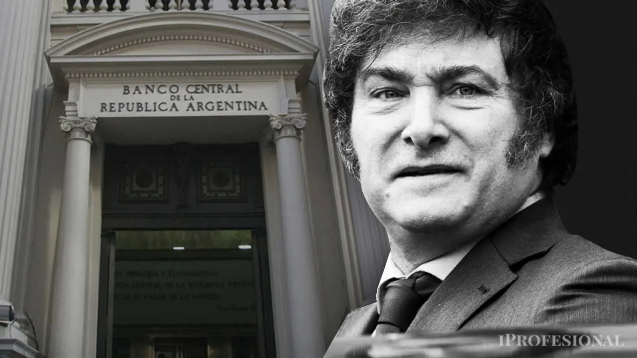 Los drásticos cambios que habrá en el Banco Central y que anunciará Milei. Imagen producida por iProfesional