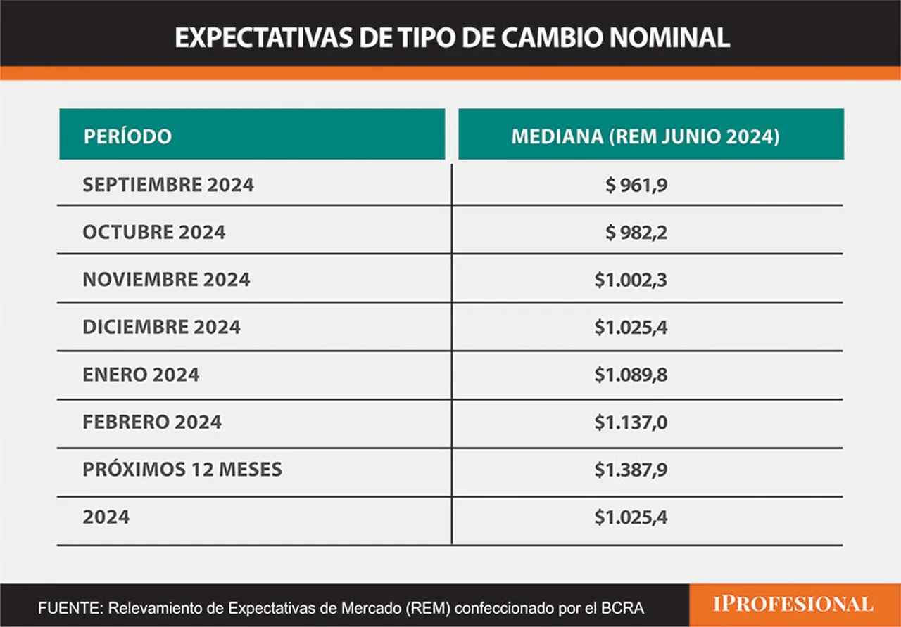 El precio del dólar esperado por los economistas relevados en el REM es de $1.025 para fin de diciembre.