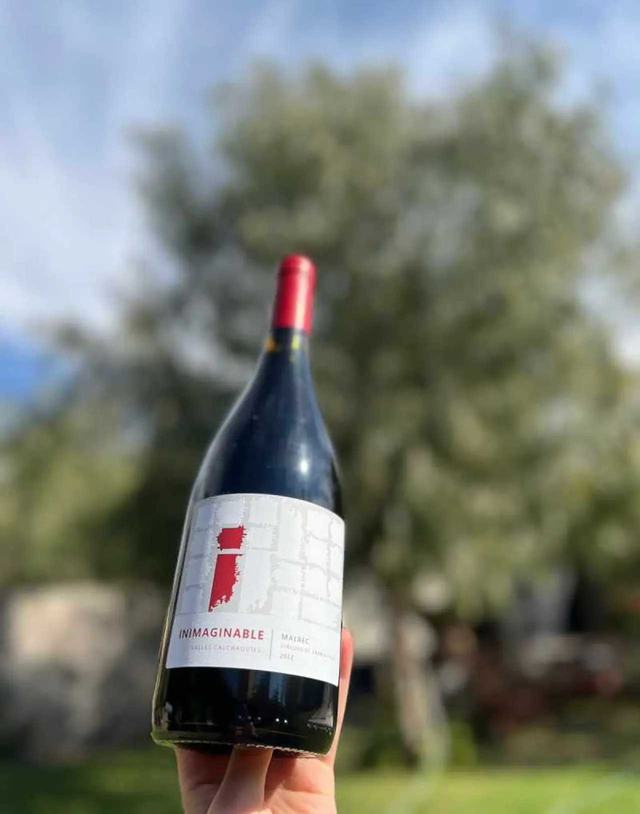 Inimaginable Malbec 2022 es un vino con carácter pero elegante