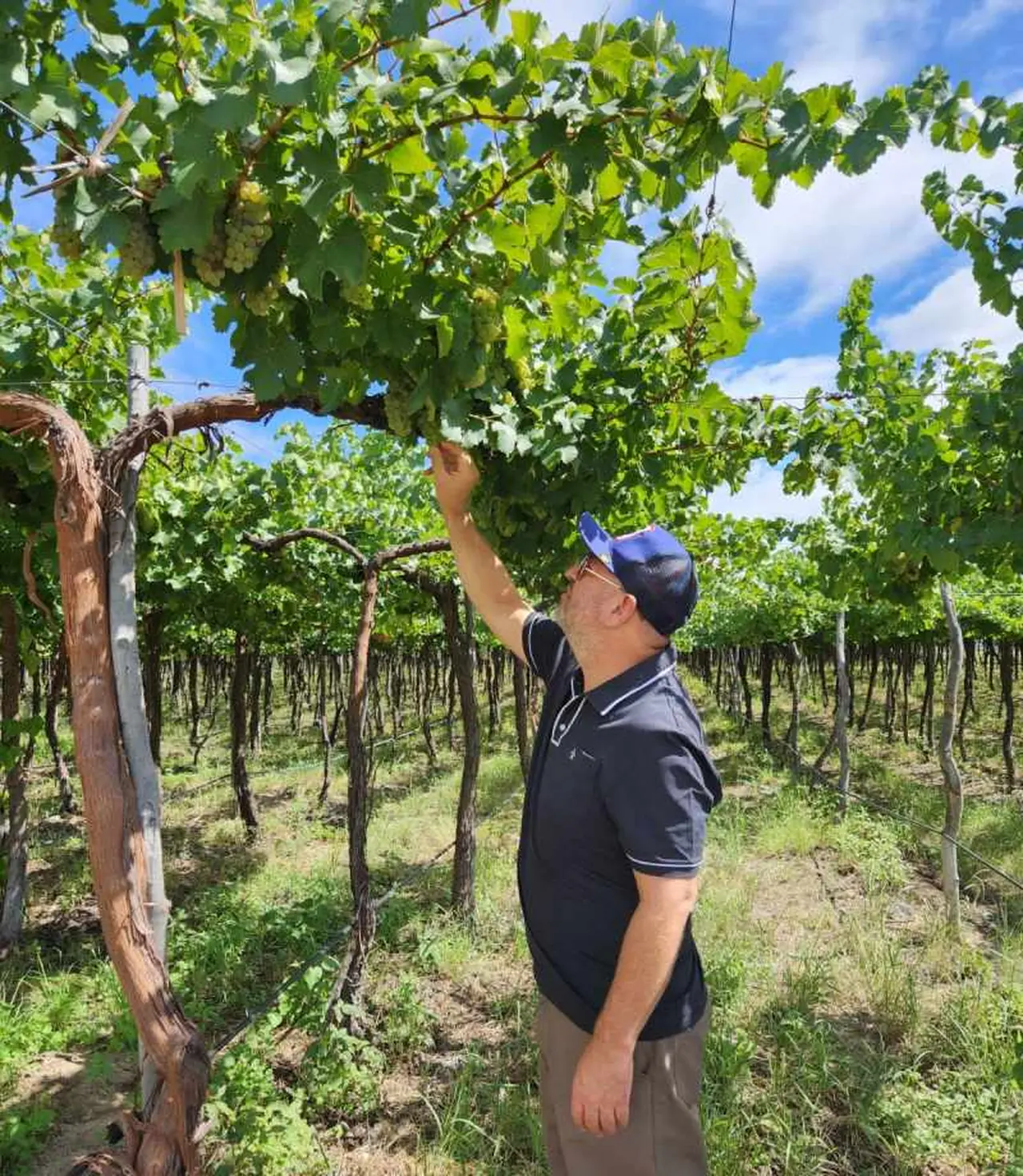 Claudio Maza, recorriendo los viñedos de Cachi, en Salta