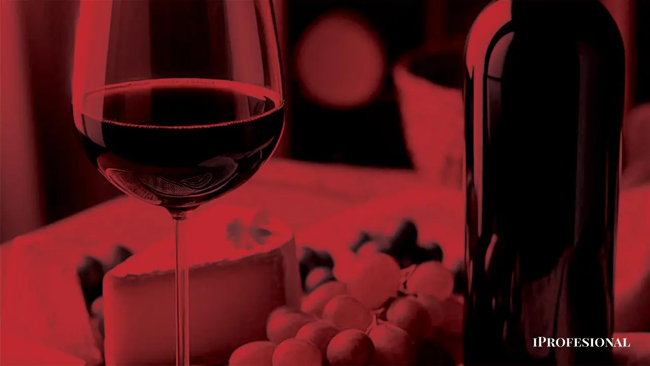 El gran problema que enfrenta el VINO argentino