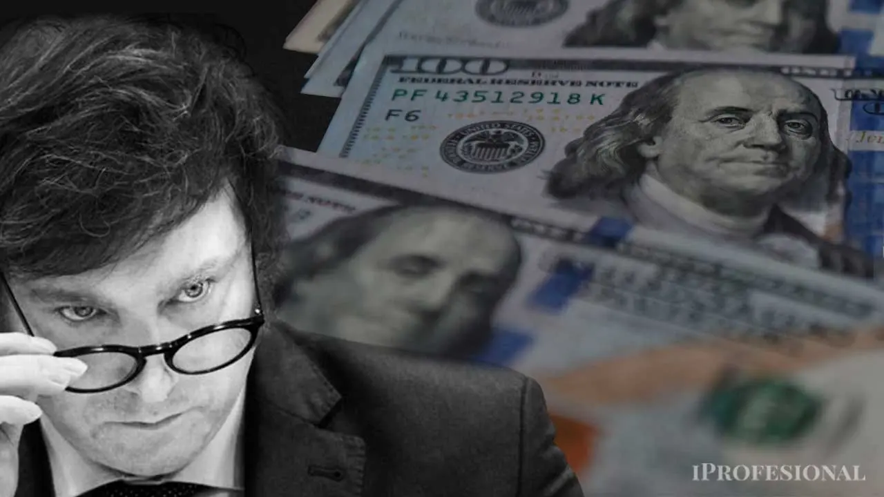 Javier Milei dólares