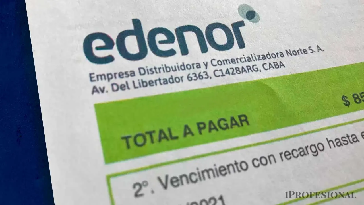 Factura oficial de Edenor junto al logo de iProfesional en la parte inferior derecha