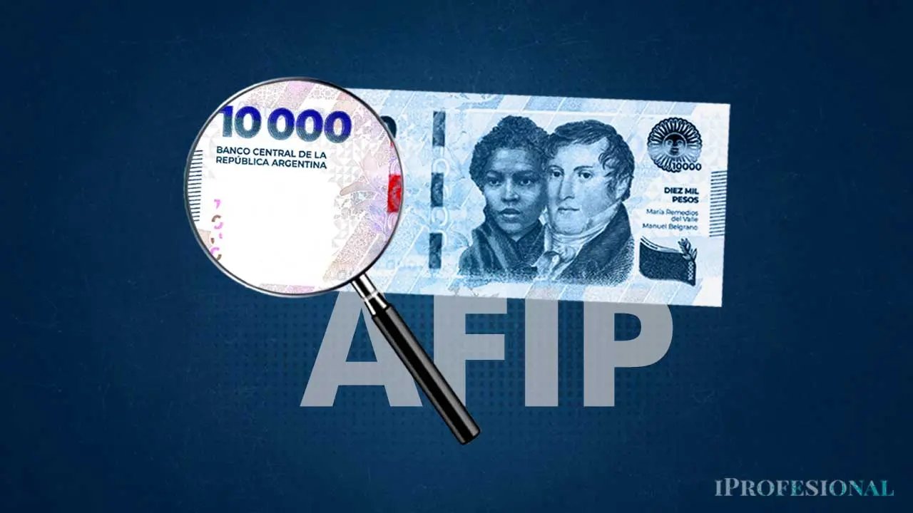 EX AFIP/ARCA 
