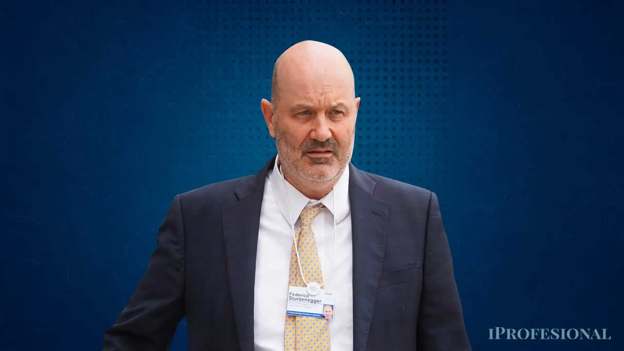 Sturzenegger detalló cuál proyecto sancionado por el Senado no vetaría y explicó las causas