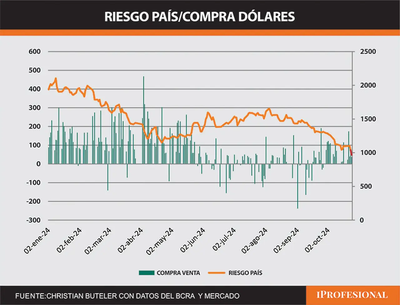 Fuente: Christian Buteler con datos del BCRA y el mercado