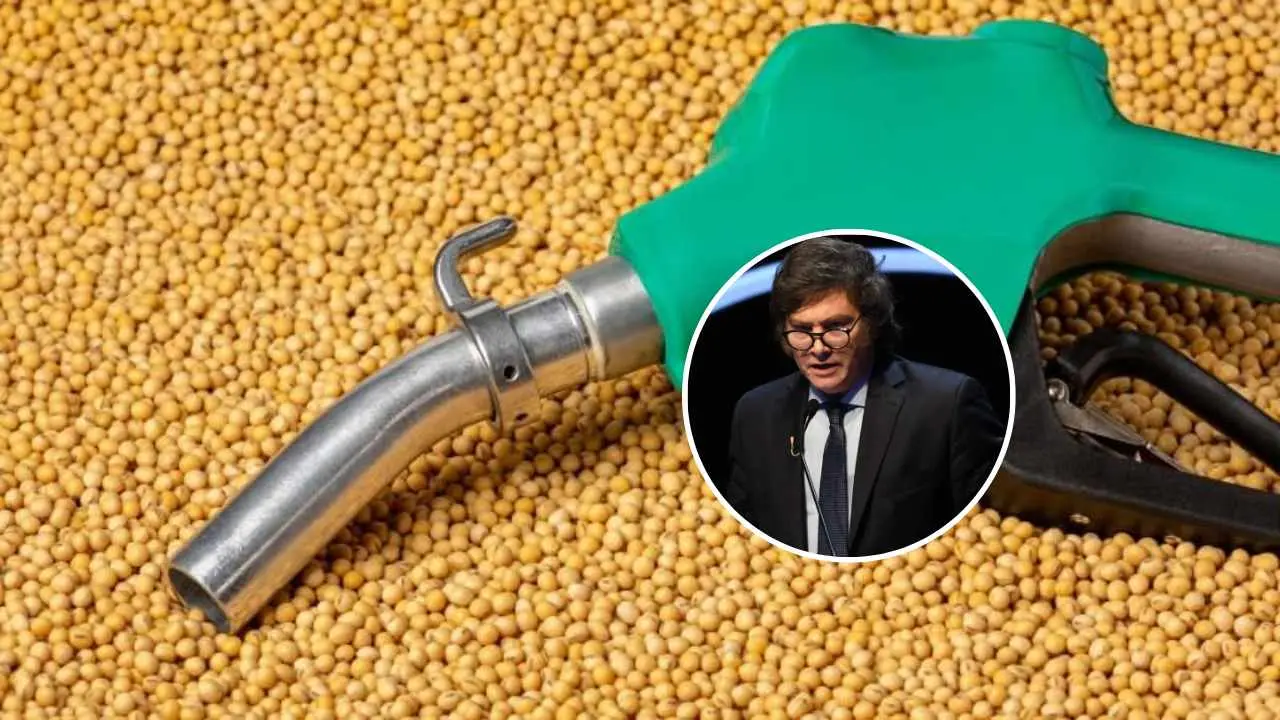 biocombustibles javier milei