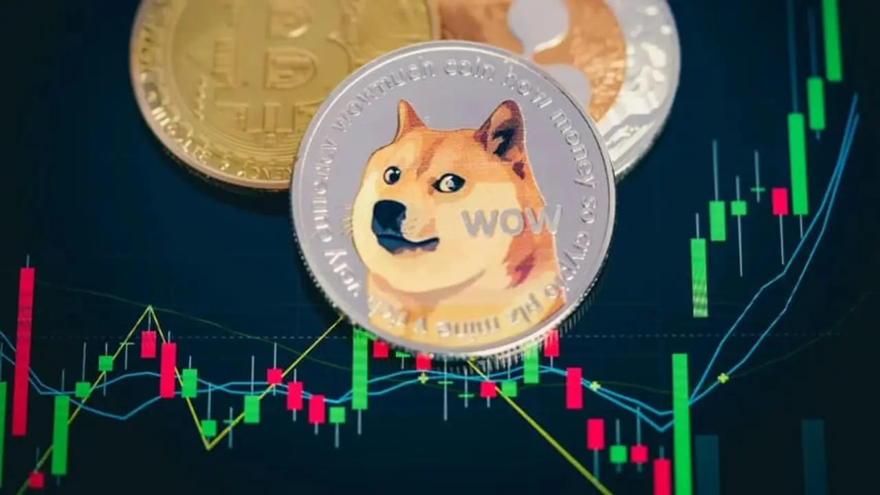 doge