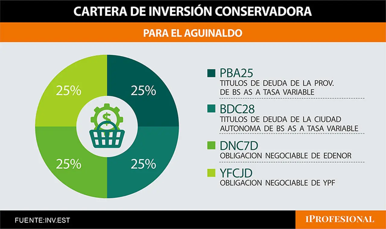 Cartera de inversión conservadora de bonos y obligaciones negociables (ON).