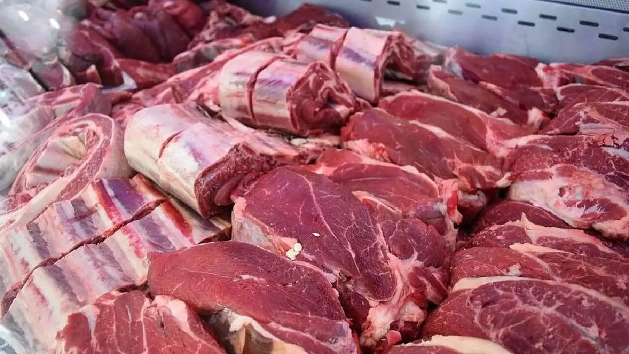 CARNE