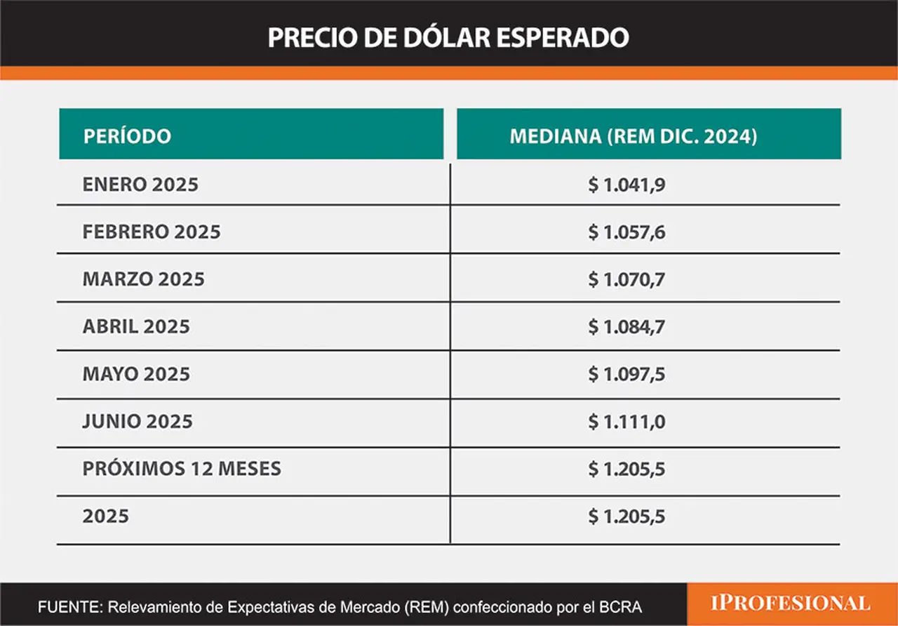 El precio de dólar mayorista esperado es de $1.205,5 para diciembre que viene.